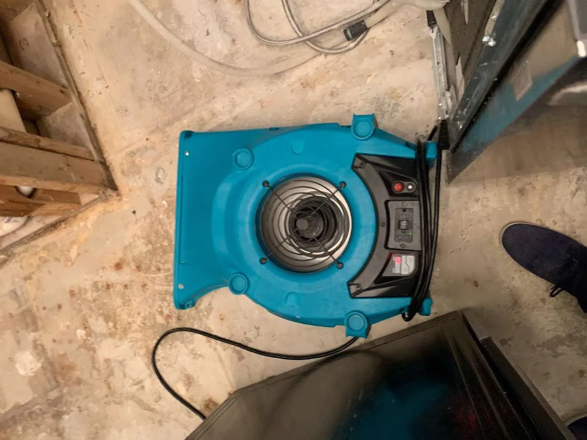Air mover drying equipment for Mold Remediation & Removal in Glenwood Springs